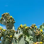 Piccolo Rosa Hotel Ostuni