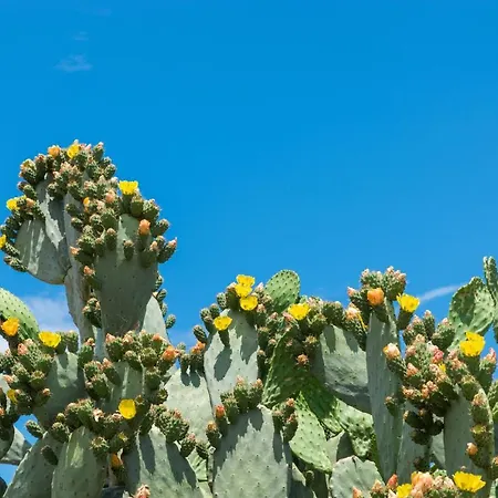 Piccolo Rosa Hotell Ostuni
