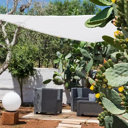 Hotel Piccolo Rosa 2*