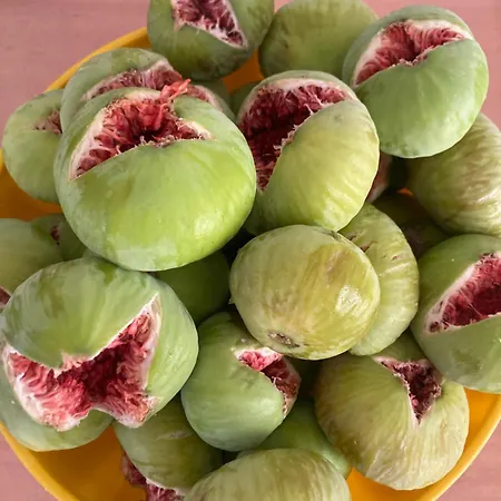 Piccolo Rosa